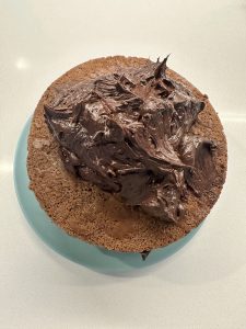 Lightly dust the shards with a mixture of cocoa powder and cornflour to enhance the tree bark effect.
